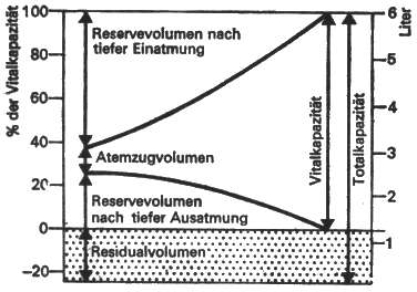 Lungenvolumina