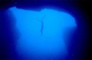 Gozo Blue Hole