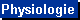 Physiologie des Freitauchens