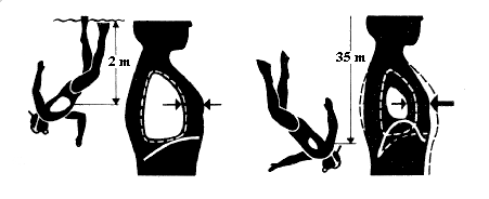 Lungenvolumen in unterschiedlichen Tiefen