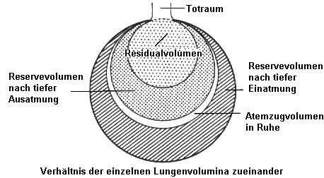 Lungenvolumina